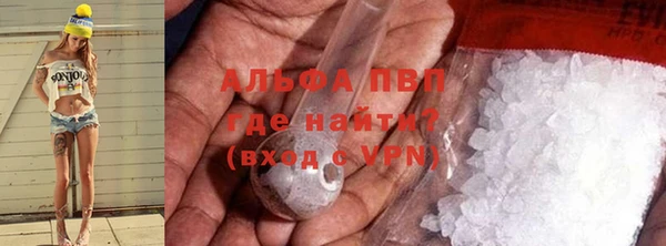 ПСИЛОЦИБИНОВЫЕ ГРИБЫ Касимов