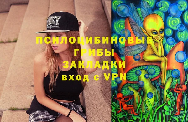 синтетический гашиш Карпинск