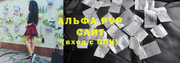 ПСИЛОЦИБИНОВЫЕ ГРИБЫ Касимов